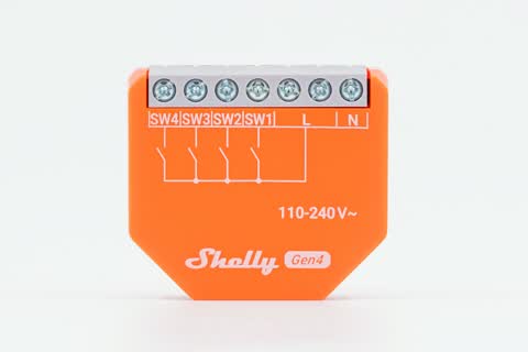 Shelly-i4_1.jpg